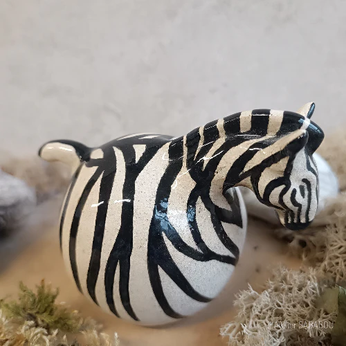 le petit zèbre le petit zèbre