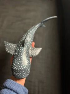 rn image picker lib temp 641de7c6 0146 48d9 9525 e8bacc62f125 1024x1024@2x